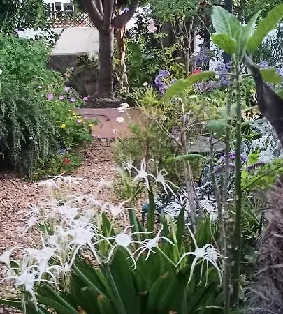 Casa Flora Garden * Sauzal