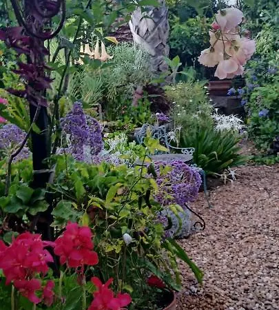 Casa Flora Garden 绍萨尔