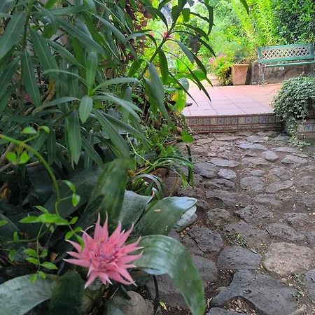 Casa Flora Garden ساوزال
