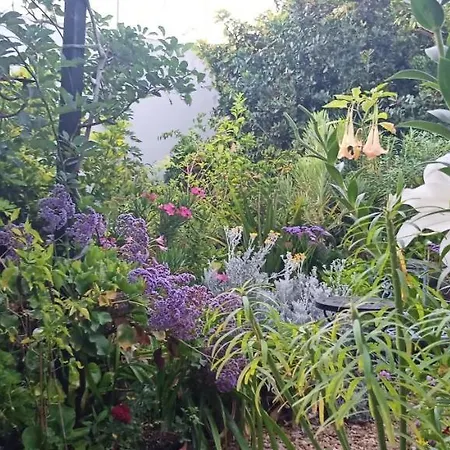 Apartamento Casa Flora Garden *
