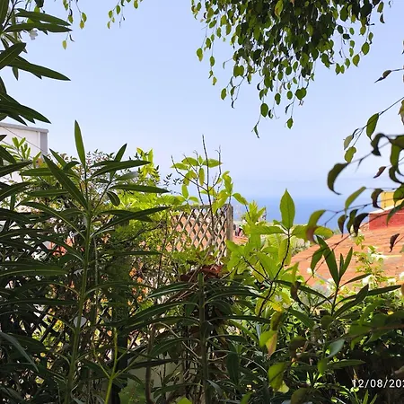 Casa Flora Garden Apartment