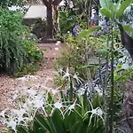 Casa Flora Garden * El Sauzal