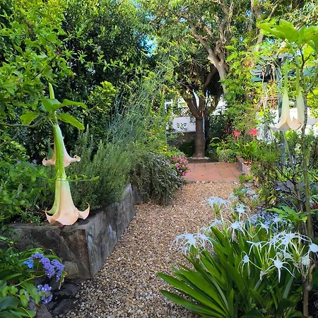 Casa Flora Garden Daire *